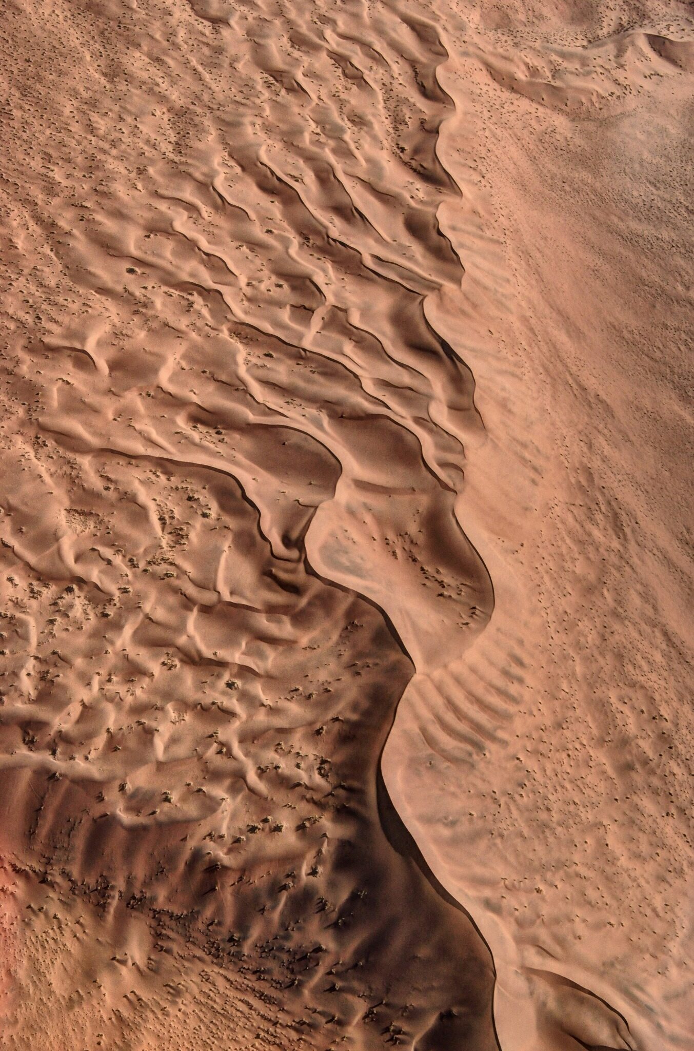 Aerial view of sculpted dunes in the Namib Desert