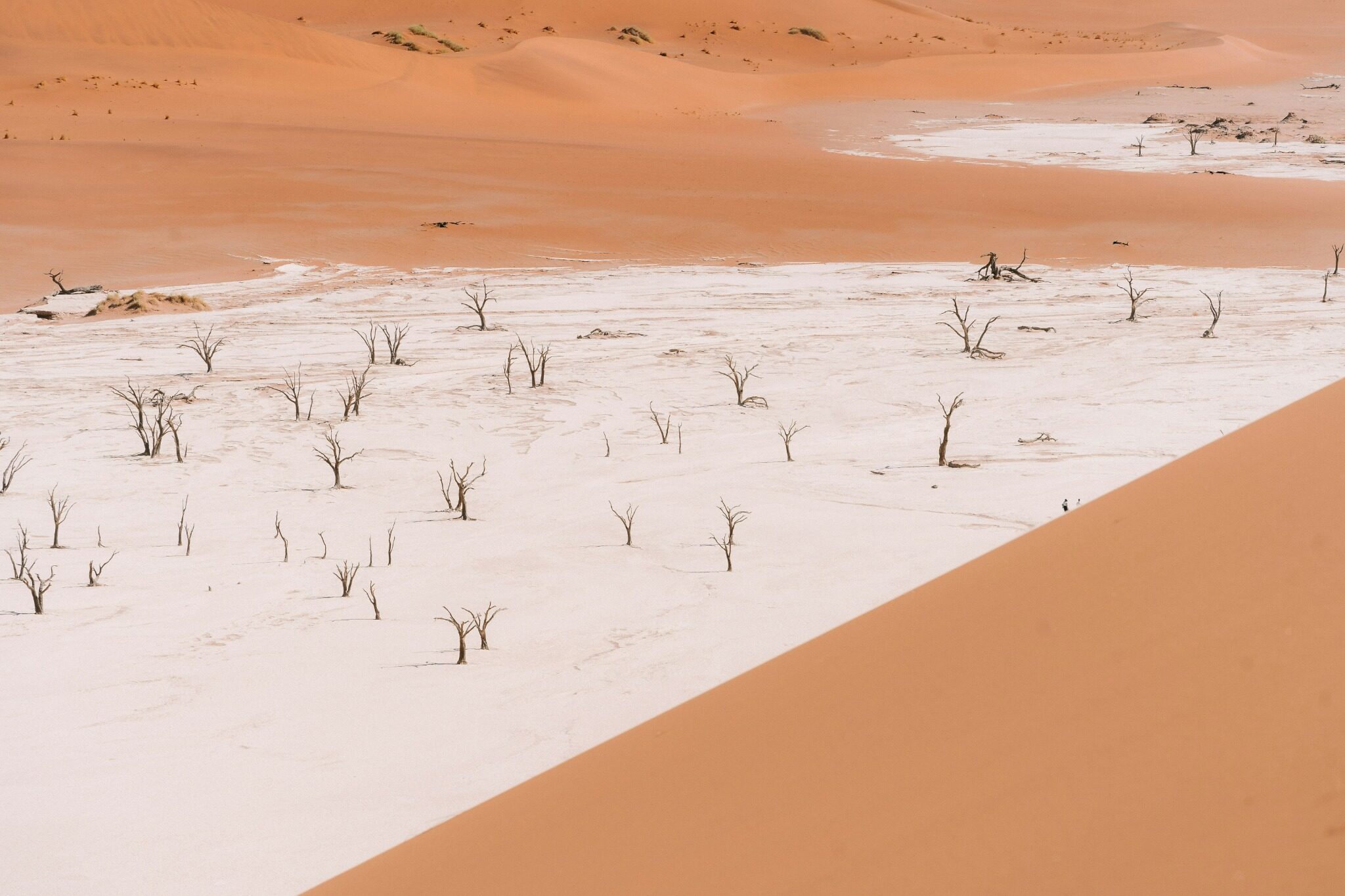 Wide view across Deadvlei and the red dunes of Sossusvlei, Namibia