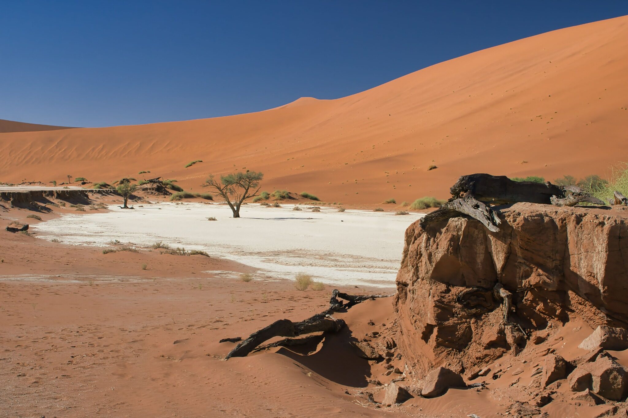 Deadvlei clay pan framed by red dunes at Sossusvlei, Namibia