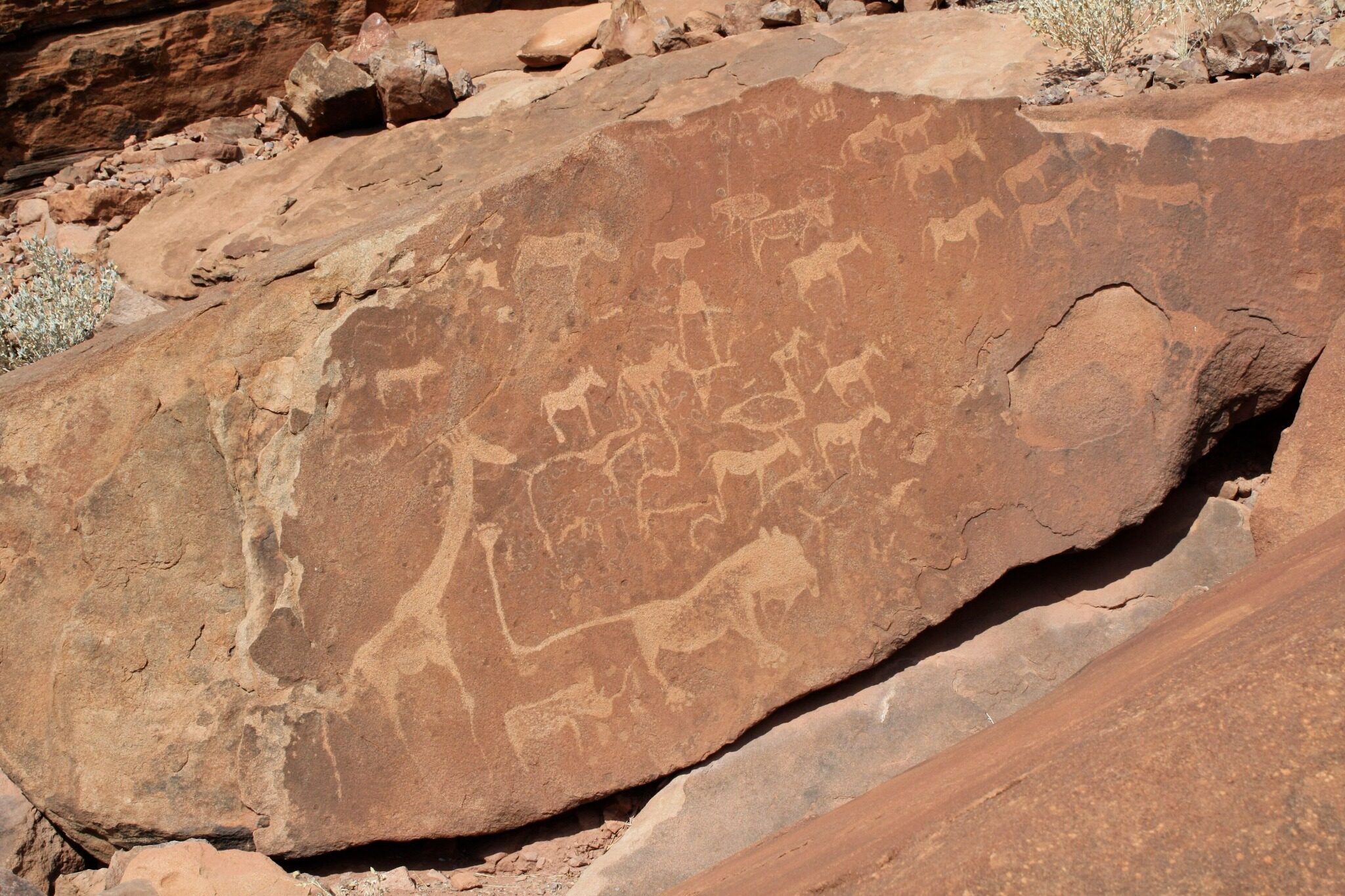 Ancient animal engravings at Twyfelfontein in Damaraland